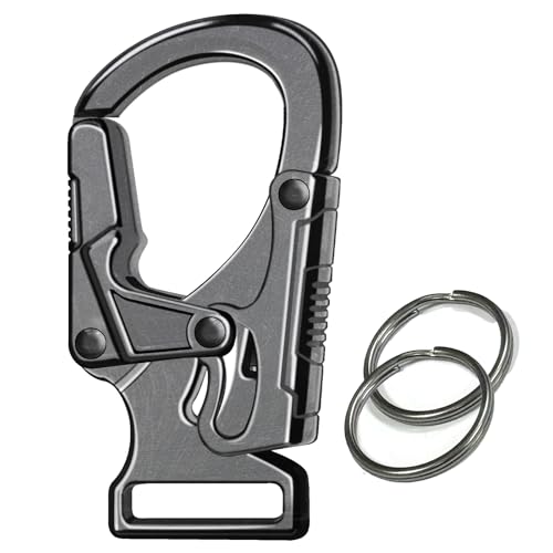 Ahiller Carabiner Clip,1.9'' Alloy Car Keychain Clip with 2 Key Ring,Outdoor Hooks,Small Key Holder for Man and Women（Gunmetal-1P）