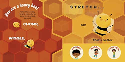 You Are a Honey Bee! (Meet Your World) - Image 2