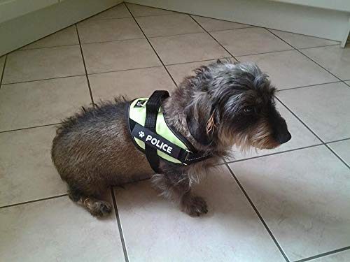 julius k9 personalised labels