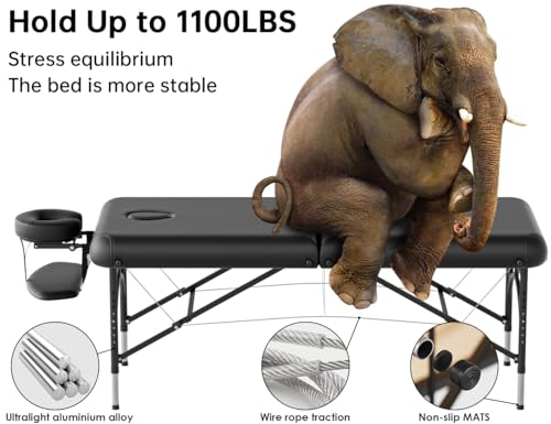 Image of CLORIS 84 inch Professional Massage Table 2 Section Portable Hold Up to 1100LBS
