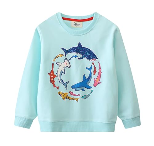 Boys Sweatshirts Long Sleeve Sweatshirts T-shirts Crew Neck Cotton Casual Sweatshirts Cartoon Tops for Boys-246