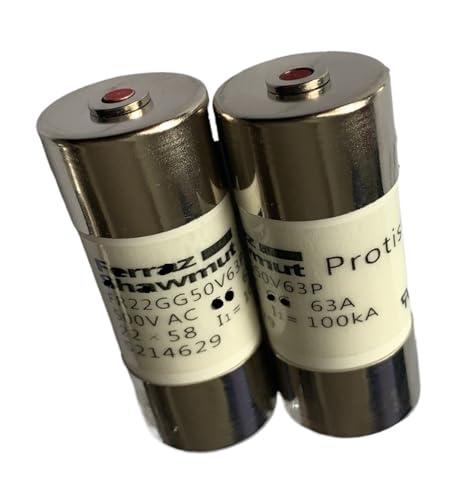 Fuses FR22GG50V63P S214629 FR22GG50V80P F216159 FR22GG50V100P T217183 FR22GG10C50P C087770 1051 22.90 50 1000V 50A(FR22GG50V100P)