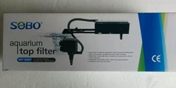 filter top aquarium