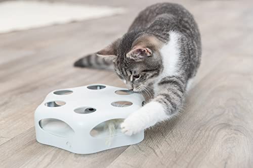 Trixie Plume tournante interactive pour chats