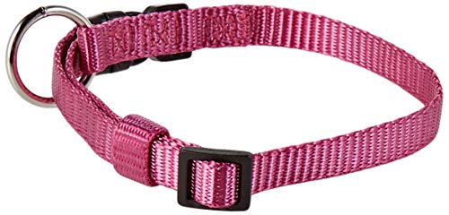 Nobby Halsband Classic, Himbeere L: 20-35 cm, B: 10 mm, 1 Stück