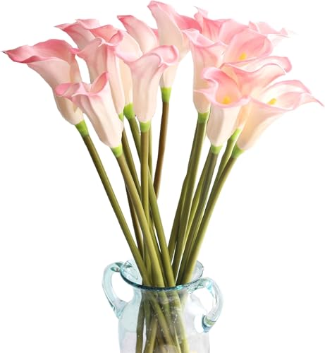 LCHJX Exotische getrocknete Blumenstrauß 10pcs Weiße/rosa Calla -Lilie Blumen, 26 'echter Berührung Langer Stielkünstigungslilien für hohe Hochzeitsbüro -Wohnkultur (Keine Vase) (Pink)