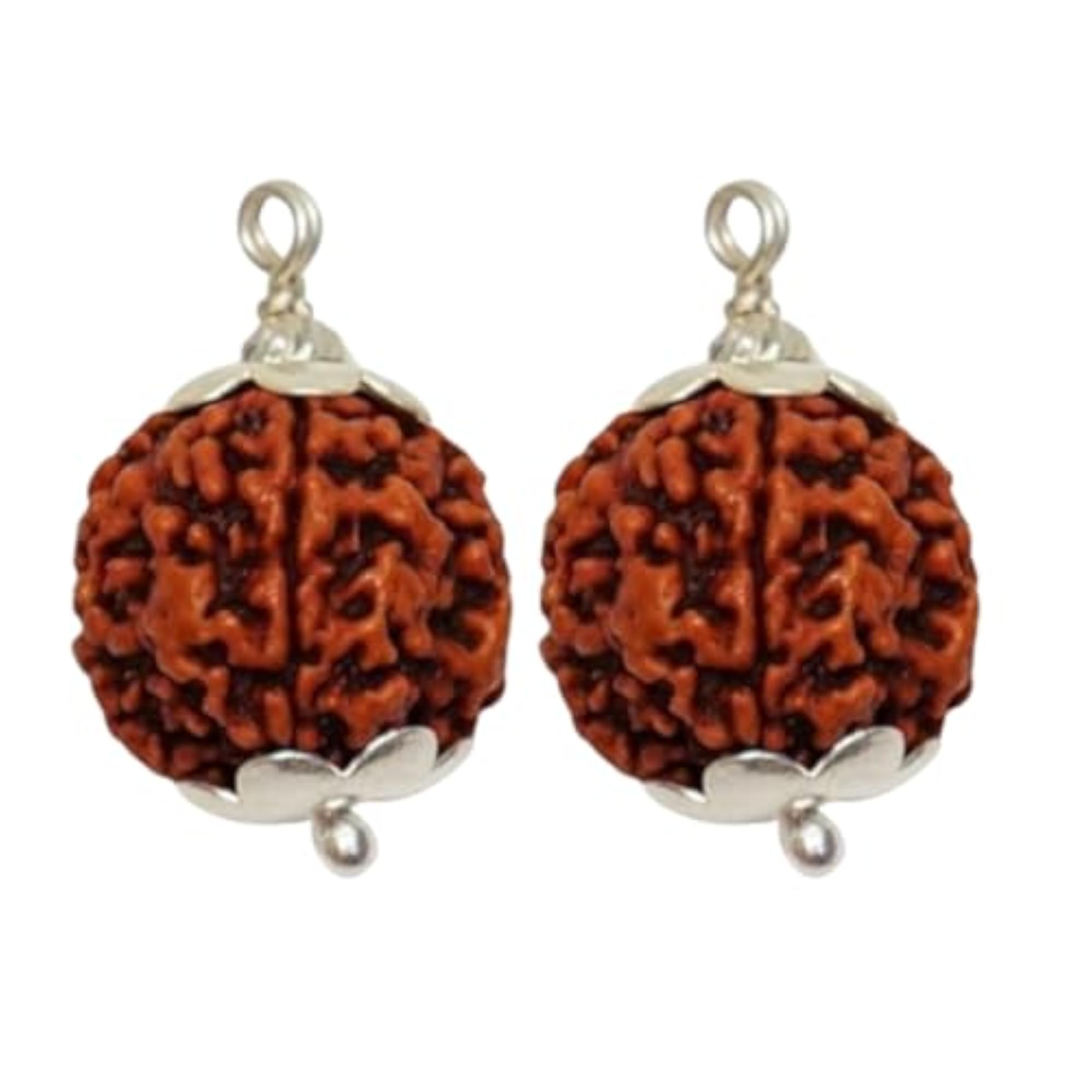 5 Mukhi Rudraksha Pendant with Silver Capping