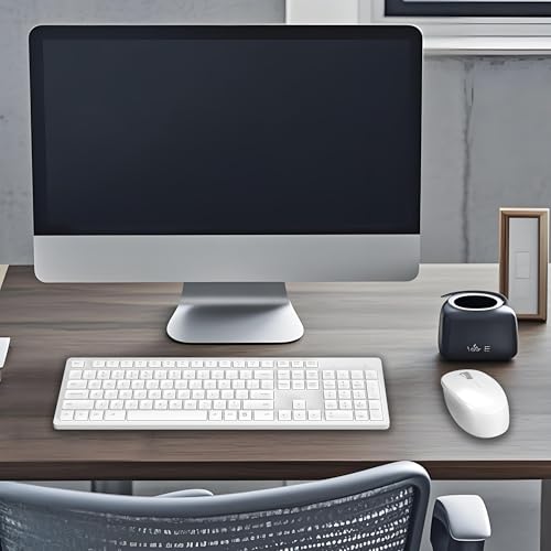 LeadsaiL White Wireless Keyboard and Mouse Combo, Full-Sized Ergonomic Computer Keyboard, 2.4GHz USB Cordless Keyboard Silent Mouse Set, 12 FN Shortcuts for Windows MacOS Laptop Computer