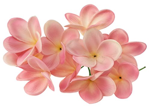 Winterworm 10 tallos artificiales de flores frangipani de látex, flores falsas para ramo de novia, decoración de fiesta