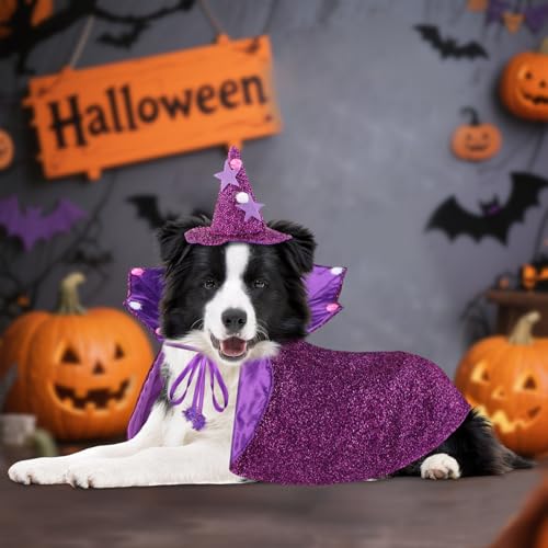 Disfraz de Bruja para perros mediano y pequeño miniatura 7