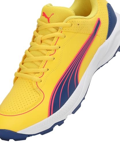 Image of Puma Unisex-Adult 24 Fh Rubber Cricket Shoe