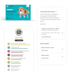 Embark Breed + Health Dog DNA Test & Dog Age Test Bundle – Discover Breed, Ancestry, Relatives, Genetic Health, Traits, and Birthday