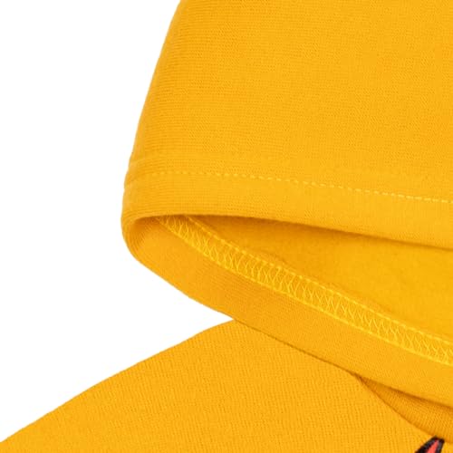 Disney Lion Guard Kion Fleece Pullover Hoodie Toddler to Little Kid 5