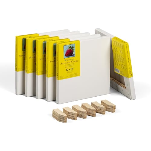 Strathmore 300 Series Traditional Stretched Canvas Pack, 10x10 inch, 6 Pack, Art Canvas for Students Professionals