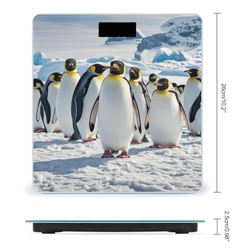 Balanza digital de baño con diseño de pingüino y vidrio templado miniatura 2