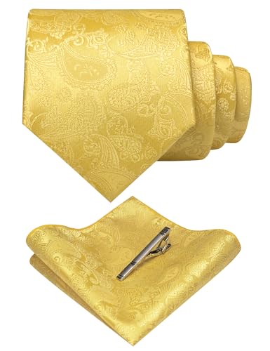 Image of JEMYGINS Mens Solid Color Paisley Necktie and Pocket Square with Tie Clip Sets