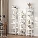 MAHANCRIS Bookshelf, 5-Tier Bookcase, Standing Book Shelf for Small Space, Storage Shelf Organizer, for Living Room, Bedroom, Study, Balcony, White BKBW5501