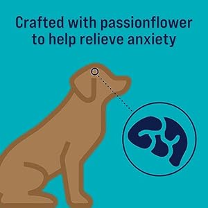 Stewart Freeze Dried Canine Treats Zen Beef  Pumpkin Anxiousness Aid Grain Free 4 Ounce Resealable Pouch Made in Usa  Cucciolini Doodles Stewart freeze dried canine treats zen beef  pumpkin anxiousness aid grain free 4 ounce resealable pouch made in usa   cucciolini doodles