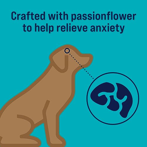 Stewart Freeze Dried Canine Treats Zen Beef  Pumpkin Anxiousness Aid Grain Free 4 Ounce Resealable Pouch Made in Usa  Cucciolini Doodles Stewart freeze dried canine treats zen beef  pumpkin anxiousness aid grain free 4 ounce resealable pouch made in usa   cucciolini doodles