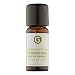 Produktbild Pfefferminz (10ml) naturrein - ätherisches Öl von greenstyle