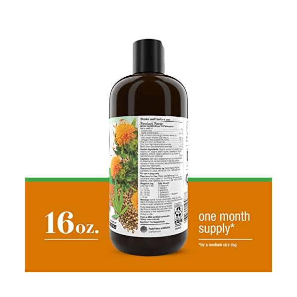 EverRoot-Dog-Supplement-by-Purina-Skin-and-Coat-Oil-with-Hemp-Seed-Oil-16-oz-Bottle EverRoot Dog Supplement by Purina - Skin and Coat Oil with Hemp Seed Oil - 16 oz. Bottle