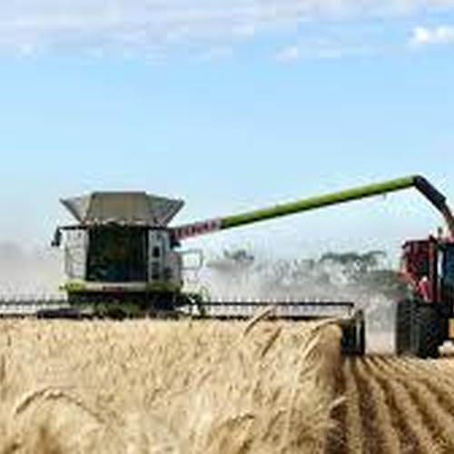 Fresh warnings about soaring diesel, fertiliser costs on the Limestone Coast