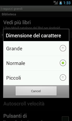 I ragazzi grandi – vue 5