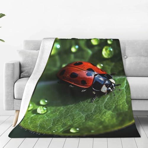 Couverture pour canapé en flanelle microfibre Little Ladybug 152x127 cm