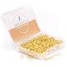 BEADNOVA 7mm Gold Plated Open Jump Rings with Plastic Acrylic Jar Container for Jewelry Making (200pcs)