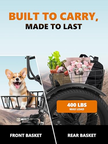 T300 Adults Electric Trike Bike, 1200W Peak Motor & 624Wh