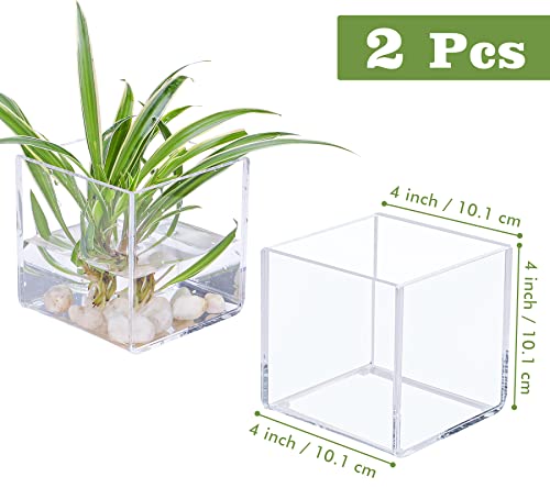 Kamehame Clear Vase 2 Pcs Acrylic Vase, 4"X4"X4" Succulent Pots Planters, Square Cube Vases For Centerpieces, Flower Vase For Home Office Wedding Floral Decor #TOP1