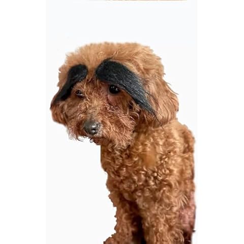 DRASAWEE Dog Cat Costumes Pet Eyebrows Wig Polyester Hair Dogs Cosplay Christmas Halloween Pet Decoration Black Cover
