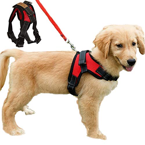 kismaple dog harness