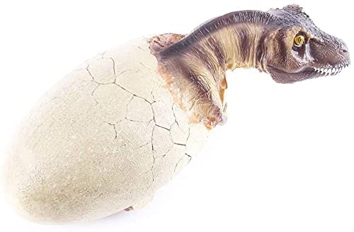 Esqueleto de dinosaurio en resina para resolver la decoración de estanterías 4
