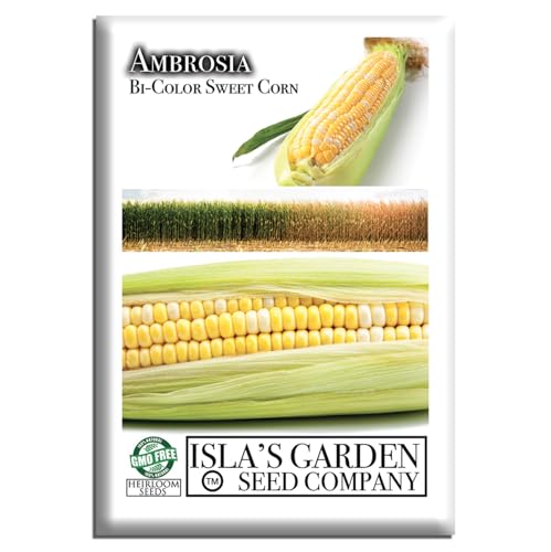 Ambrosia Bi-Color Sweet Corn Seeds (Zea mays) – 50+ Non-GMO Seeds by Isla’s Garden Seeds, Yellow & White Sweetcorn Variety for Backyard Garden Rows and Summer Harvests, Delicious Home Garden Gift Idea