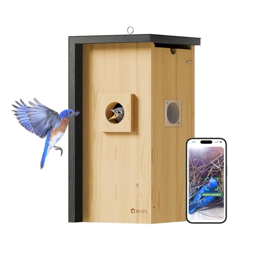 Birdfy Bird House with Camera Inside with Iron Guard