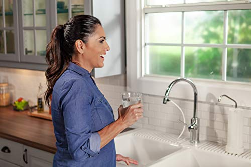 Pure Blue H2O G30 Classic Countertop Water Filter, White #TOP3