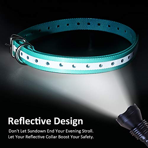 Collier de dressage : sangle de rechange robuste pour chien actif - 6