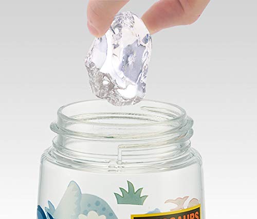 Skater Pdsh5-A Kids Water Bottle With Straw, Clear Bottle, Dinosaur, 16.2 Fl Oz (480 Ml), Boys #TOP2