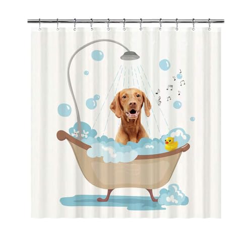 GABSHAIM Lovely Shower Curtain Funny Vizsla Dog in A Bathtub Shower Curtains Cute Bath Curtain with Hooks Waterproof Bathroom Bathtub Decor for Pet Lover 72x72 Inch