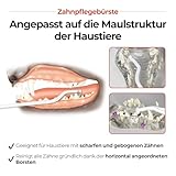 JAYU PET Zahnpflegebürste (Weiche Borsten) 1 Stück - Hunde Zahnbürste, Katzen Zahnbürste, Zahnpflege Kit für Kitten und kleine Hunde, entfernt Belag und Zahnstein