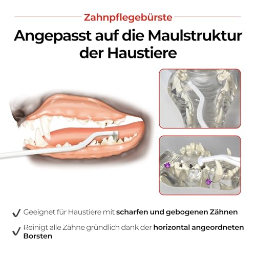 JAYU PET Zahnpflegebürste (Weiche Borsten) 1 Stück - Hunde Zahnbürste, Katzen Zahnbürste, Zahnpflege Kit für Kitten und kleine Hunde, entfernt Belag und Zahnstein