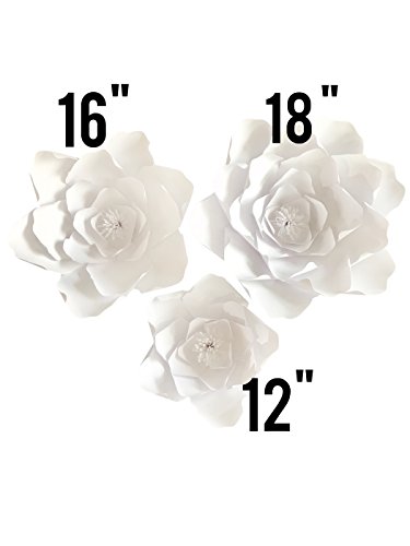 Paper Flower Petal Kit - White - 72 Piece Pack - Paper Flowers Decoration - Makes 3 Complete Flowers - DIY Do It Yourself - Peony (White)