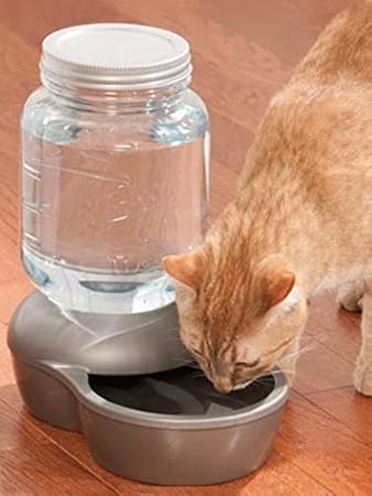 Petmate Mason Inspired Replendish Gravity Waterer, 1 Gallon, Silver