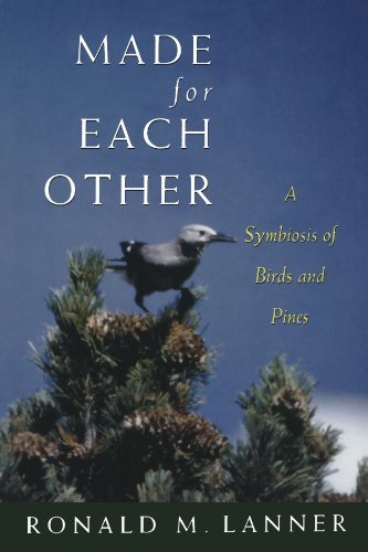 Made for Each Other: A Symbiosis of Birds and Pines