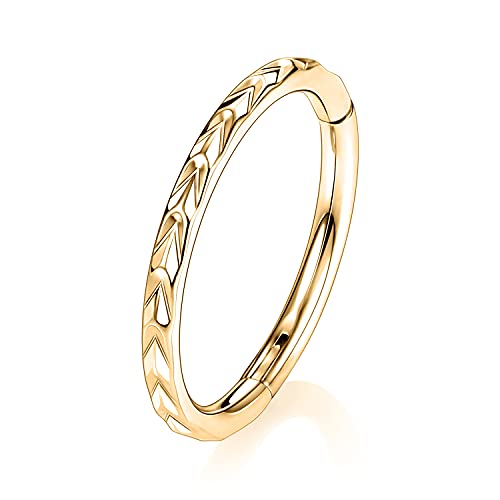 AROWRO Rook Helix Earrings Sleeper Earring Nose Hoop Gold 8mm