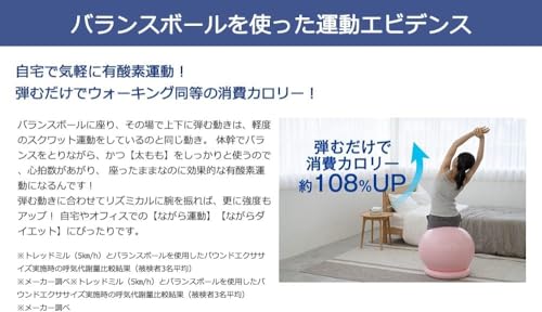 RE バランスボール 55cm