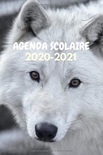 Télécharger Agenda Scolaire 2020-2021 Loup: Septembre 2020 à Septembre 2021 Collège & Lycée, 140 pages Livre eBook France