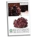 Salad Bowl Red Leaf Lettuce Seeds, 1000+ Premium Heirloom Seeds, Delicious! Add Color to Your Salad!, (Isla's Garden Seeds) 90% Germination Rates, Non GMO Organic, Highest Quality!