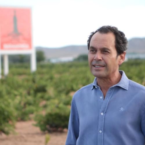 Barahonda: Dos soles brillan entre vi&ntilde;edos